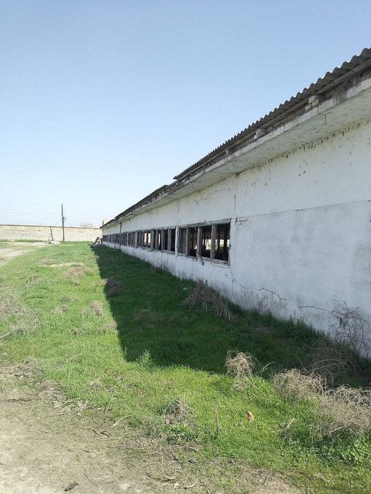 Продаётся земля 4.5 гектара в городе Нурафшон. Тойтепа. 1 линия 1