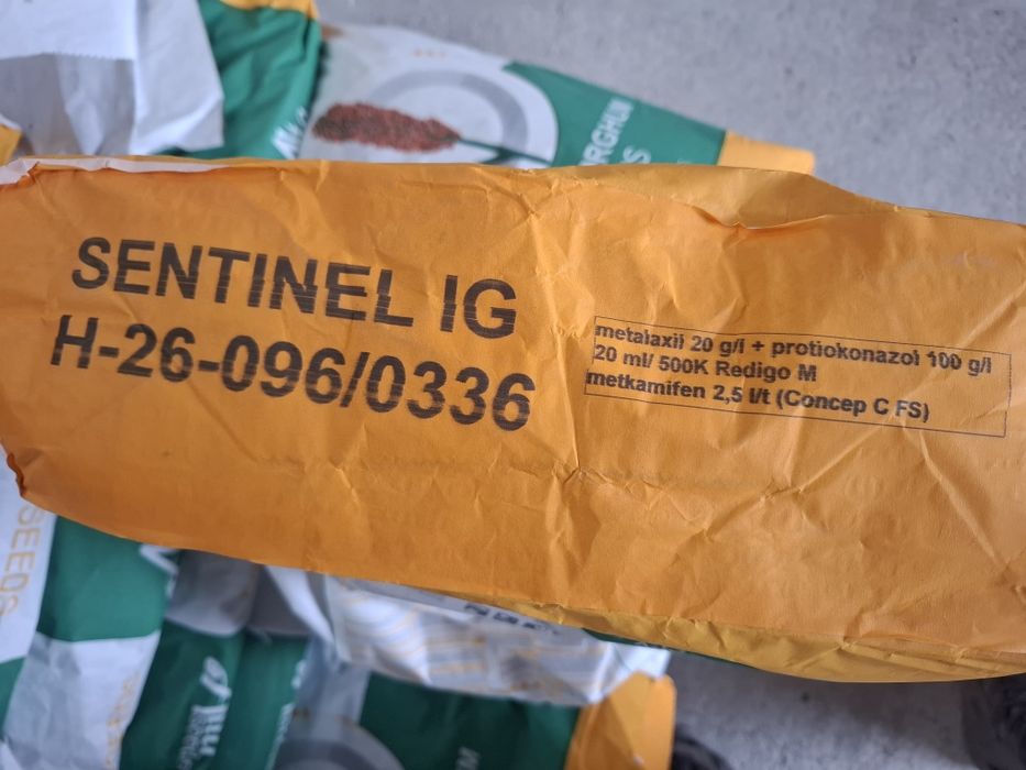 Samanta sorg Sentinel IG