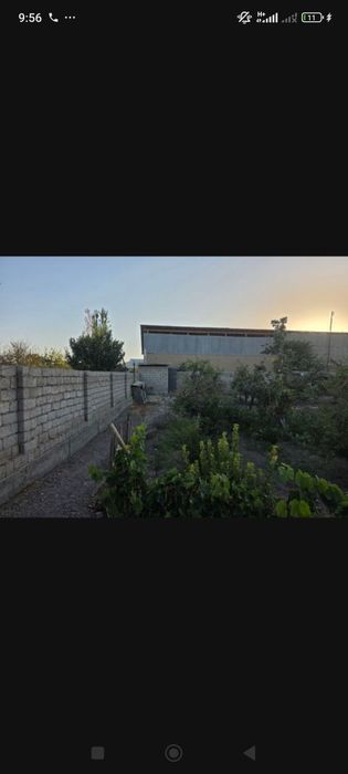 Үй сотилади чинозда 8 сотих 28000$ келишамыз