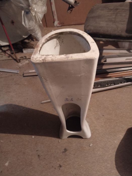 Раковина белая целая