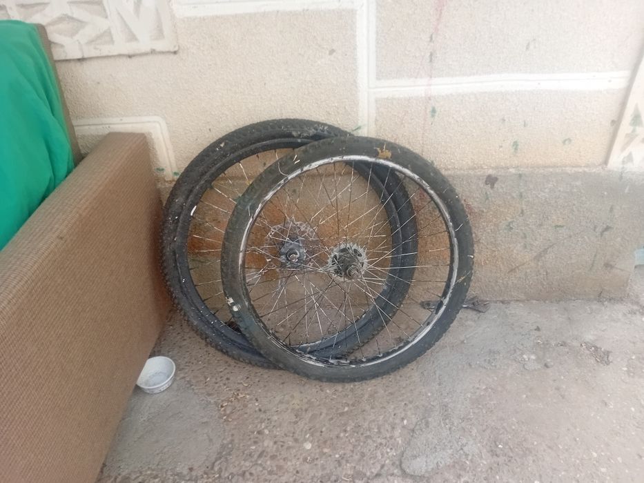 Cadre cu roti. Toate 3 la 250 neg.