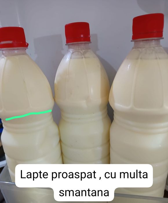 Lapte proaspăt și Brânză de burduf 100% naturale (Rasa Jersey)