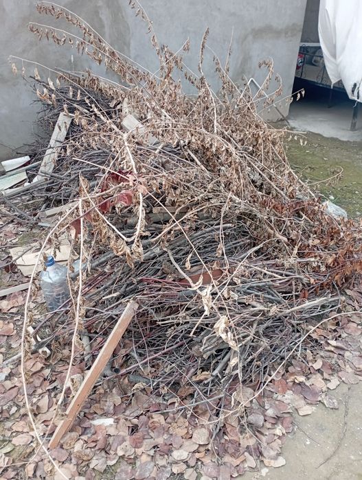 Tekin O'tin Дрова бесплатно самовывоз отин битта Лабо