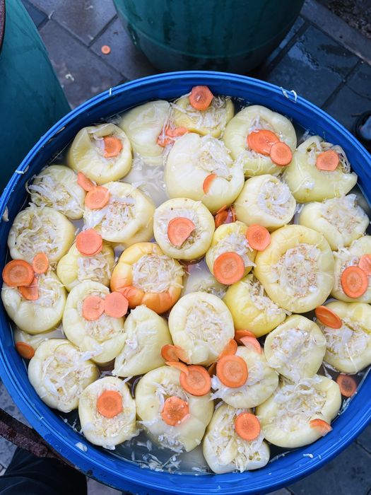 varza, castraveti murati ardei cu varza