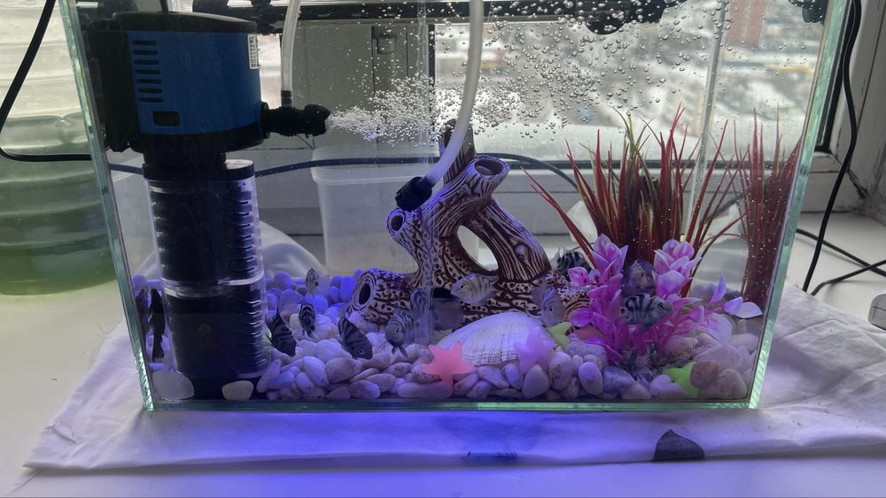 Аквариум Новый Для падорок