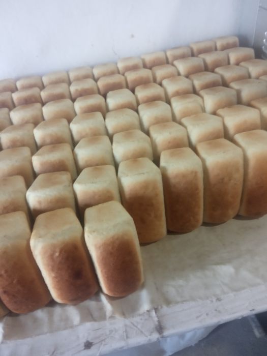 Buxanka pech 72 talik