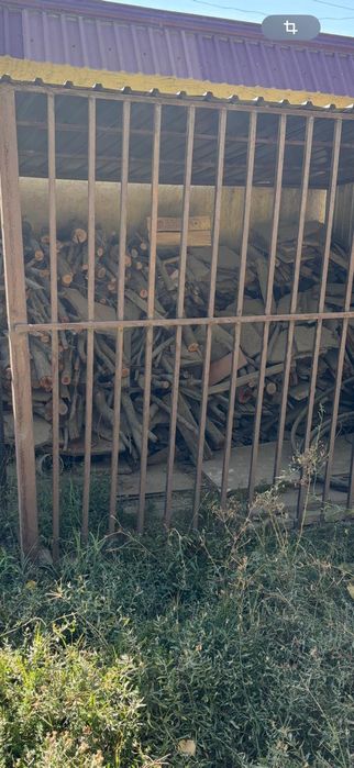 Бұталған Отын сатылады.