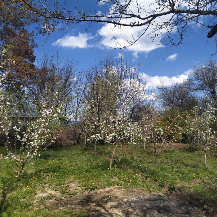 Участок 6 соток.