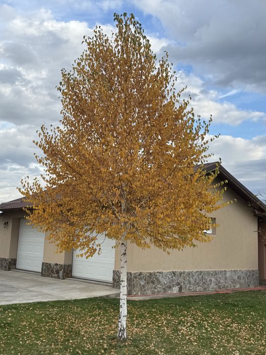 Casă de vânzare în Marghita