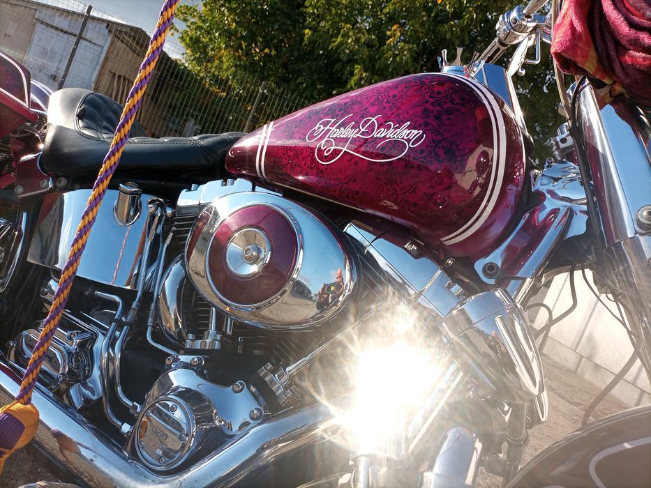 Harley Davidson Chicano