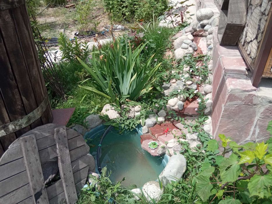 Дом в Ынтымаке с бассейном