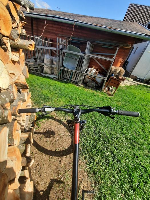 Nukeproof Scout 290 Race