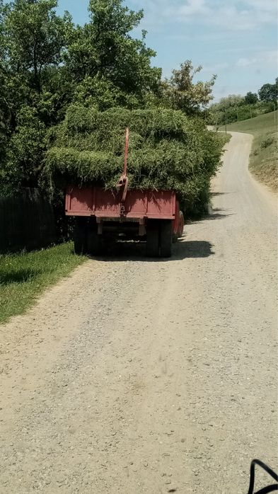 Baloti Lucerna si fan