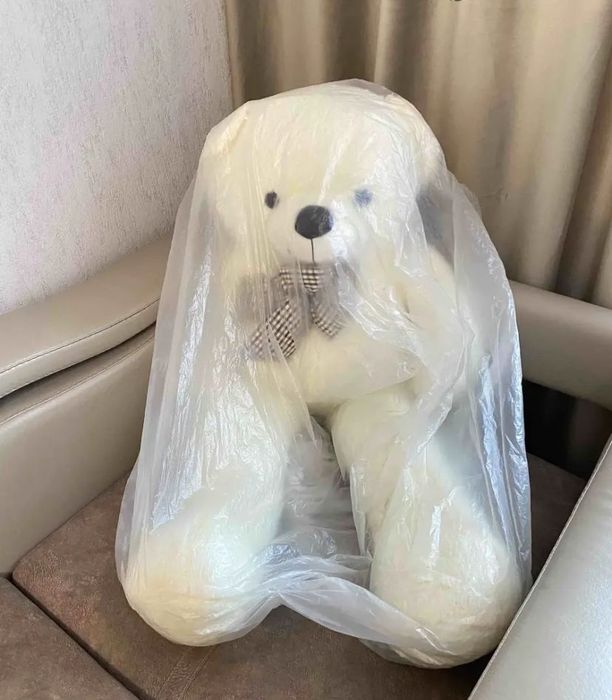 Плюшевый медведь