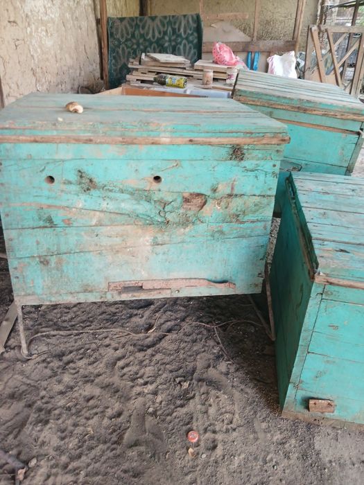 Пчелиный ящик 1штук 5000тг