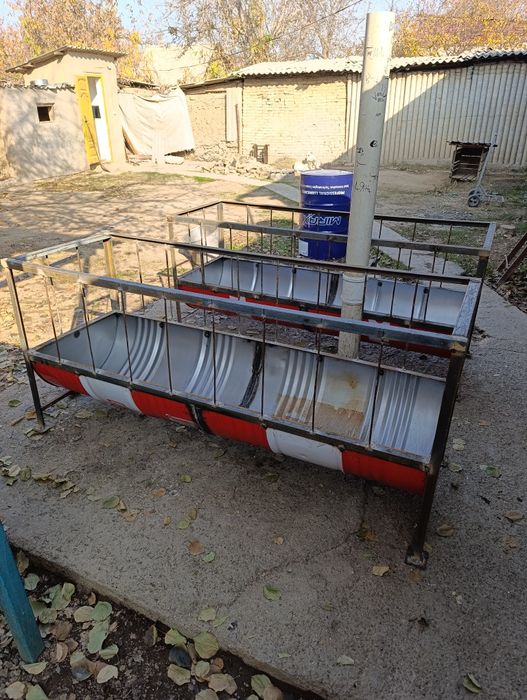 Койга, ешкіге астау сатылады