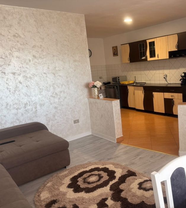 Apartament 3 cam + 10 ari teren ( curte+ livadă)