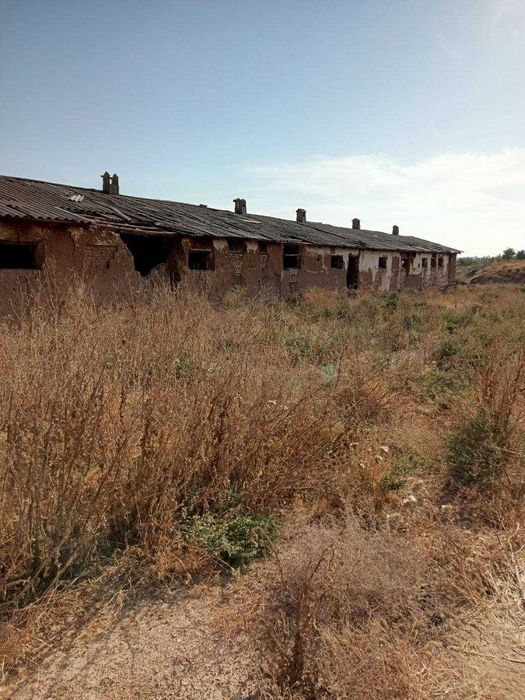 Продаётся земля 400 соток (4 гек) в Таш. области. Майский 1