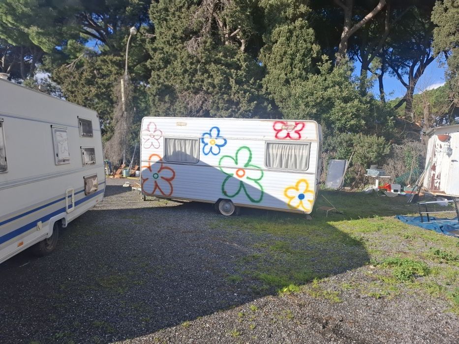 Rulota condiții bune fără rugină