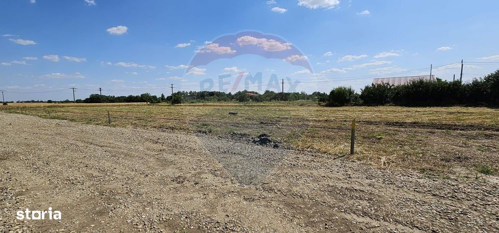 Terenuri intravilane Frumușani – Preț excelent, investiție sigură!