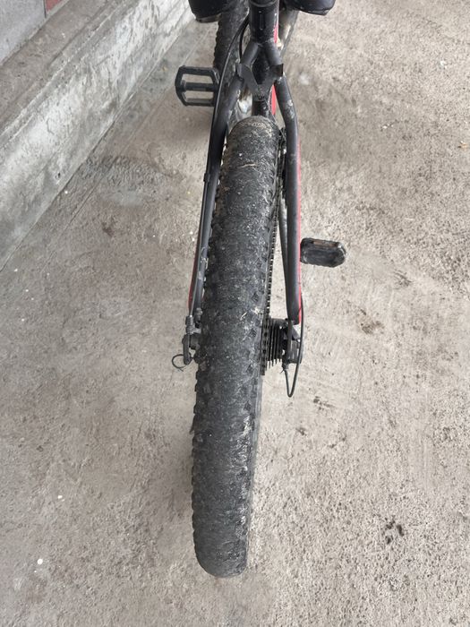 Прадаю велик норм