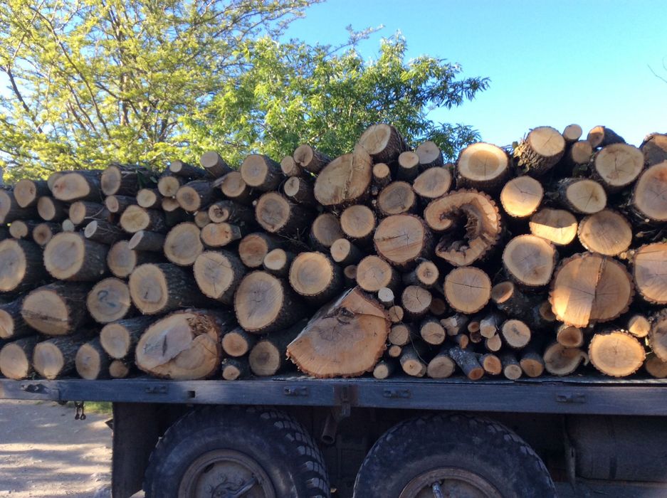 Дърва за огрев МЕТРОВКИ - 120 лв!!! Нацепени - 140лв!!!