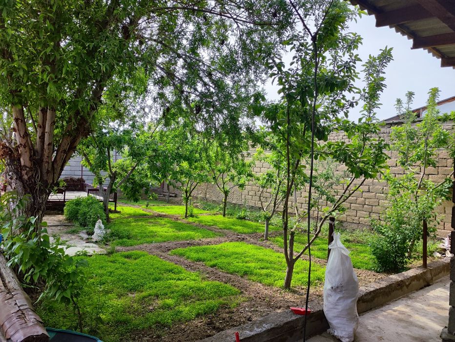 Оралман 5 көшеде үй сатылады