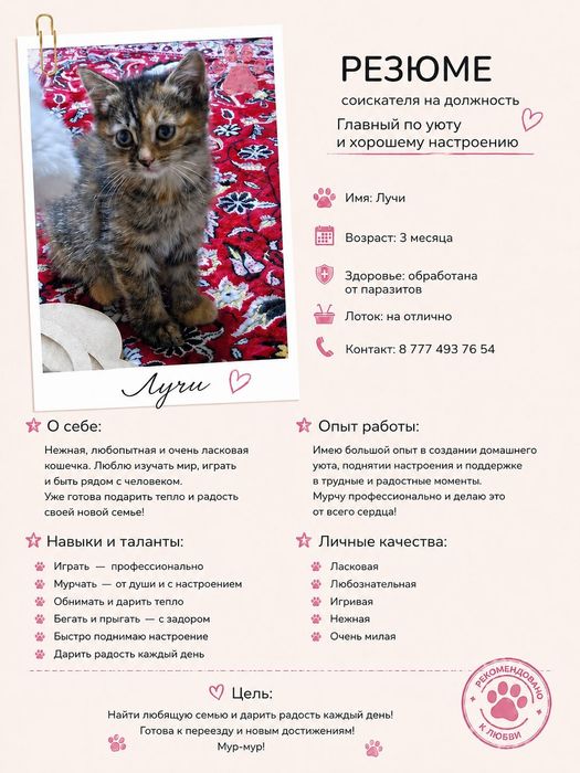 Красивые малышки