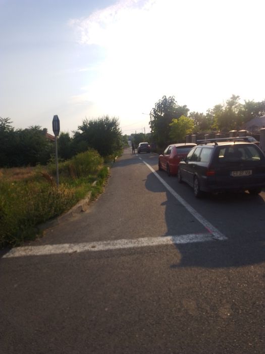Teren intravilan mosneni