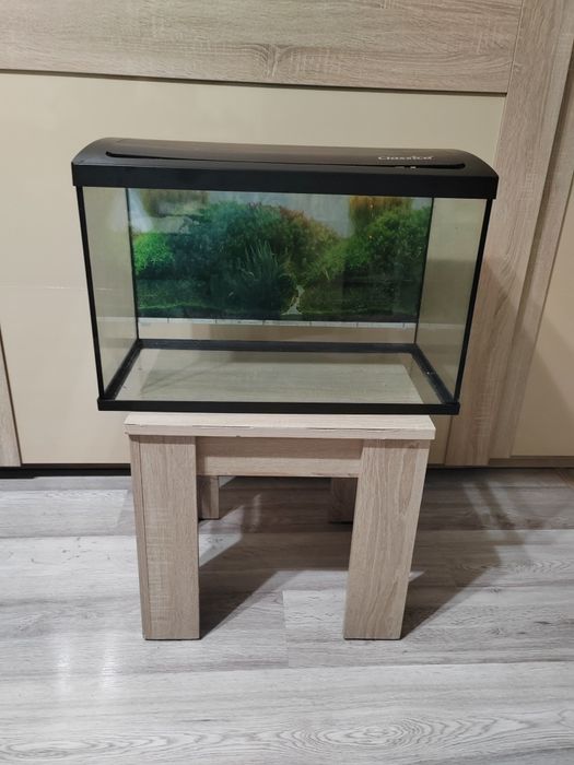 Acvariu CLASSICA  64litri