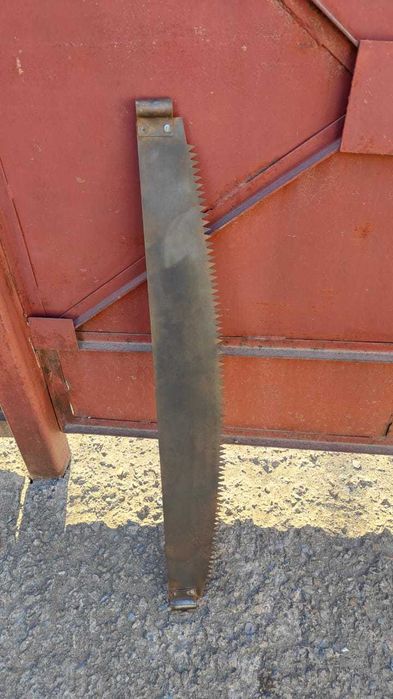 Пила дружба новая