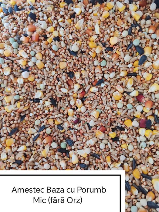 Hrana Porumbei,Turturele,Fazani,Potarnichi,Găini,Păuni,Rate,Pasari