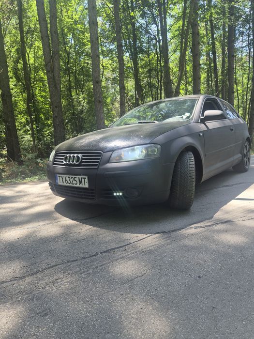 Audi A3 8p 2.0TDI