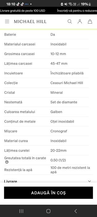 Ceas original Michael Hil