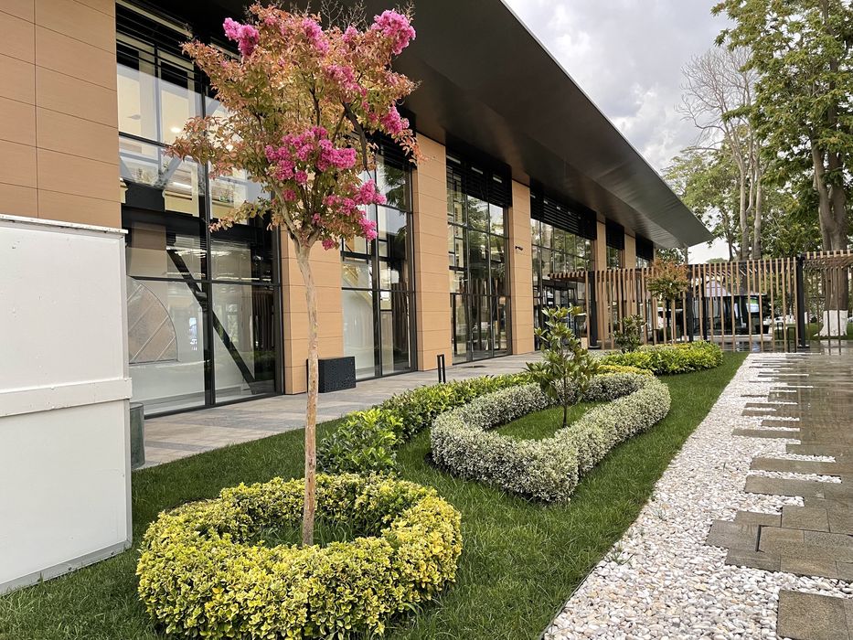 Уход за комнатными растениями с гарантией