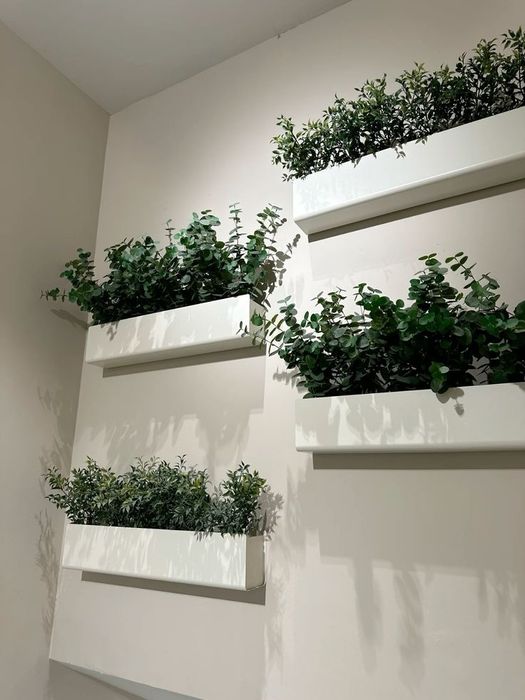 Фитостина   декор