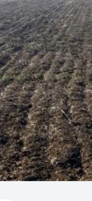 Teren Arabil Extravilan