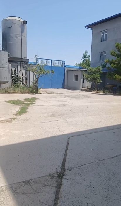 Прадажа производства с веткой