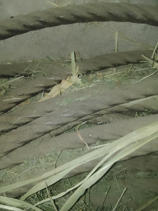 Tros sotiladi 30 mln