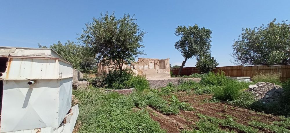 Dacha, yer dala hovli, 60 сотих майскийда жойлпшган
