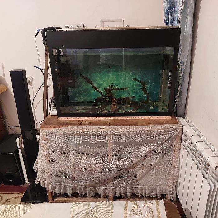 Аквариум готовый