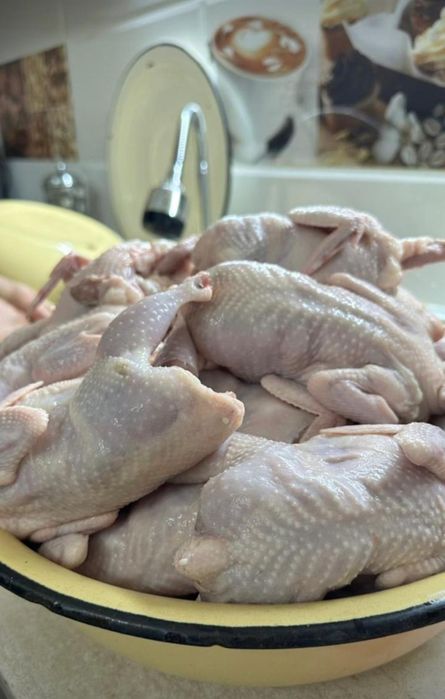 Перепелиные тушки