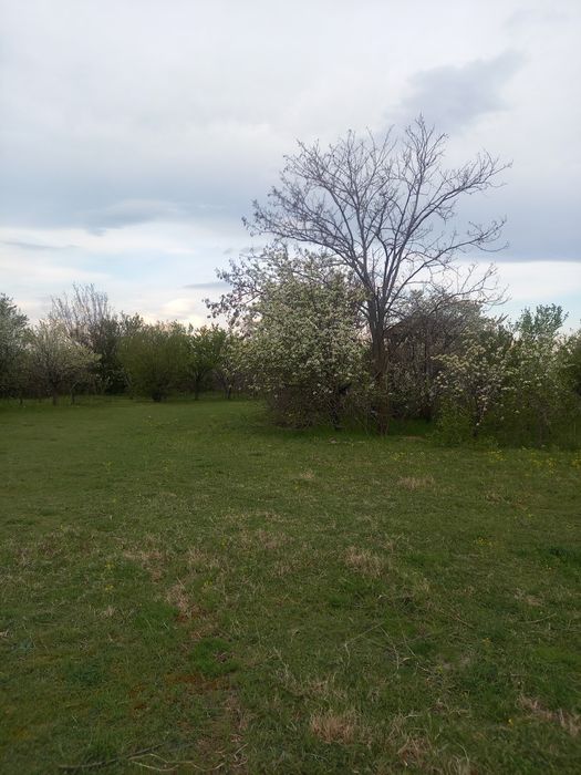 Teren și constructie