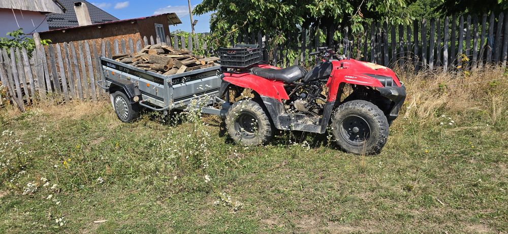 Atv Vand sau schimb