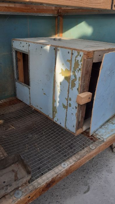 Куен клетка сотилади срочно.