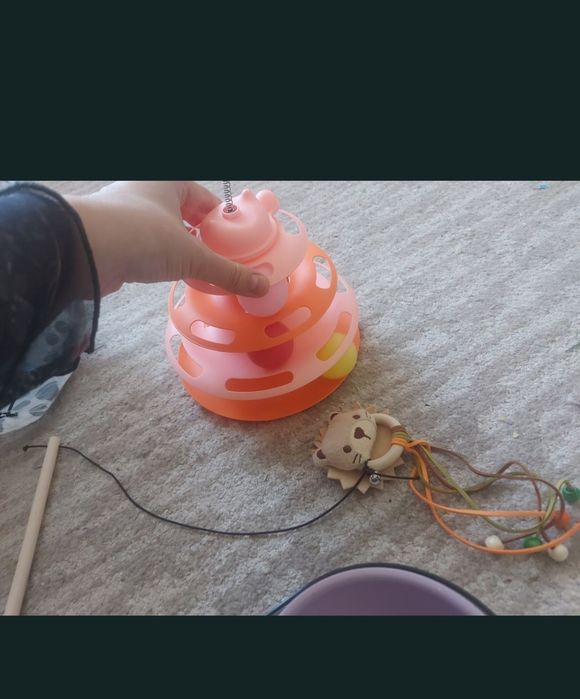 Litiera,  accesorii pisici