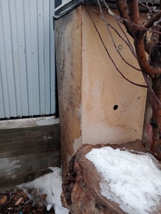 Инкубатор для яиц