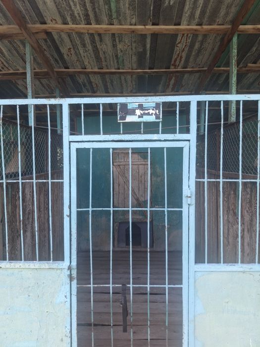 Валеры 10 штука гарантий