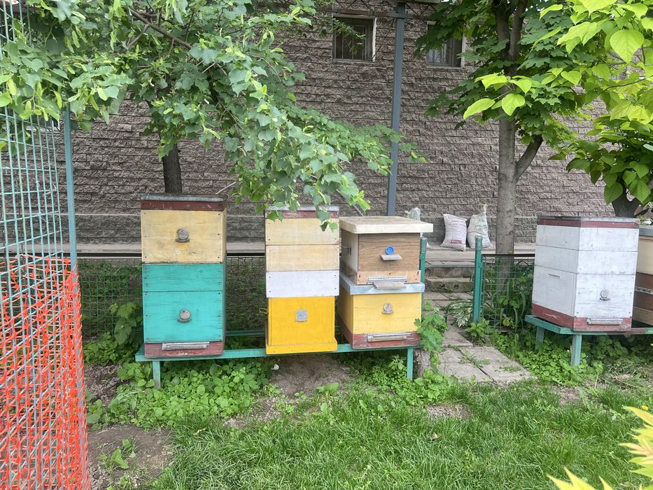 Срочно продам пчелиные ульи на 10 рамок с и  магазином