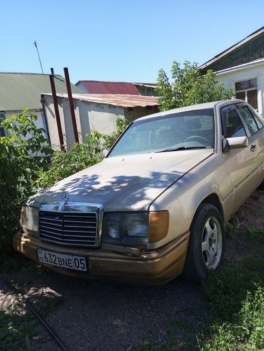 Mercedes dens 124